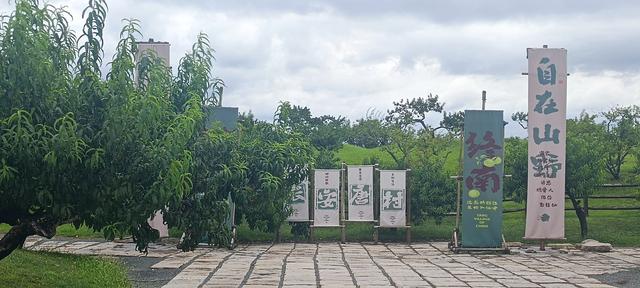 唐村草原望秦岭