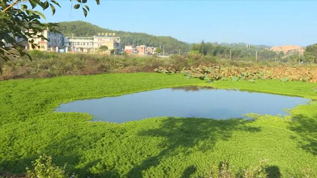 护就三江“碧水” 激荡经济“活水”——连城县水生态产品价值实现的三维实践