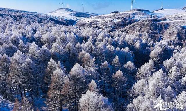 【文明旅游】秋冬必去！解锁山西宝藏山水的彩色密码