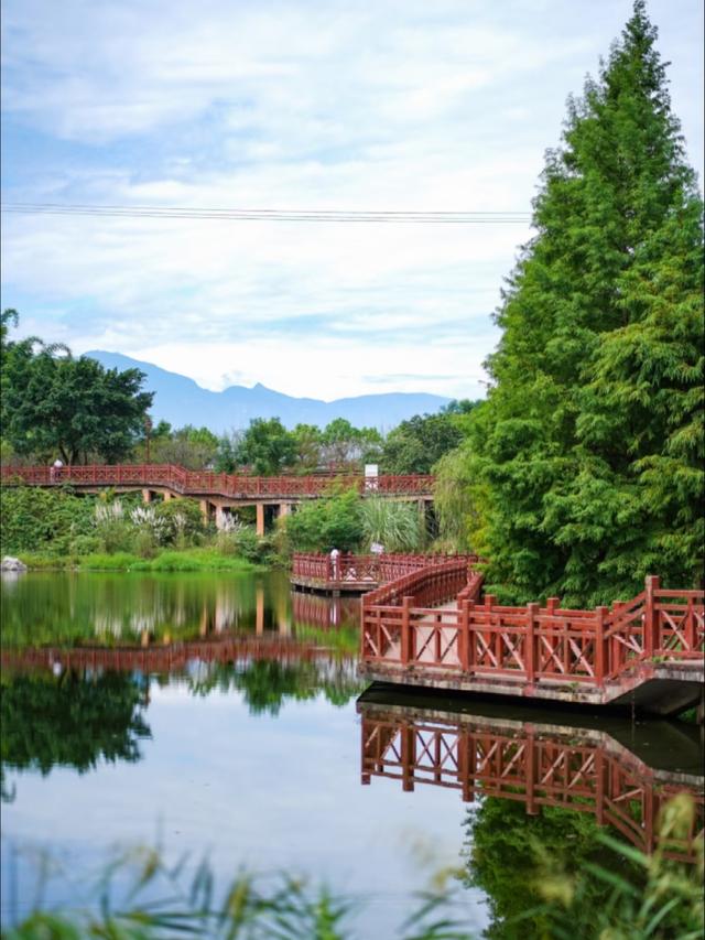 成都呆了，重庆愣了，乐山怎么就成了全民慢生活的代表？