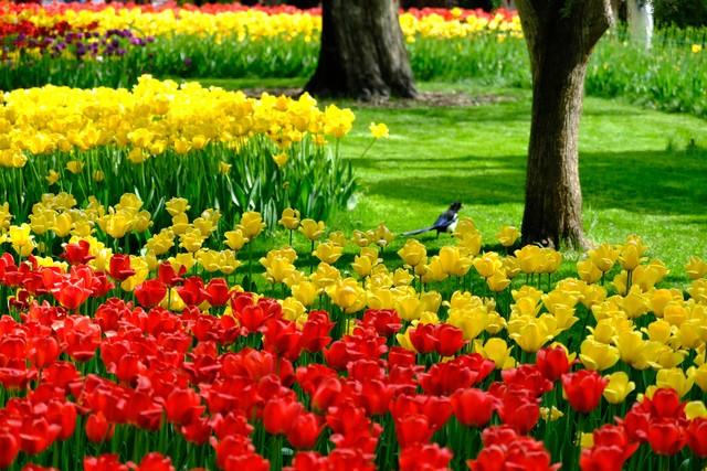 为什么十个亲家，九家关系处得都一般，原因就是一个，理念不一样