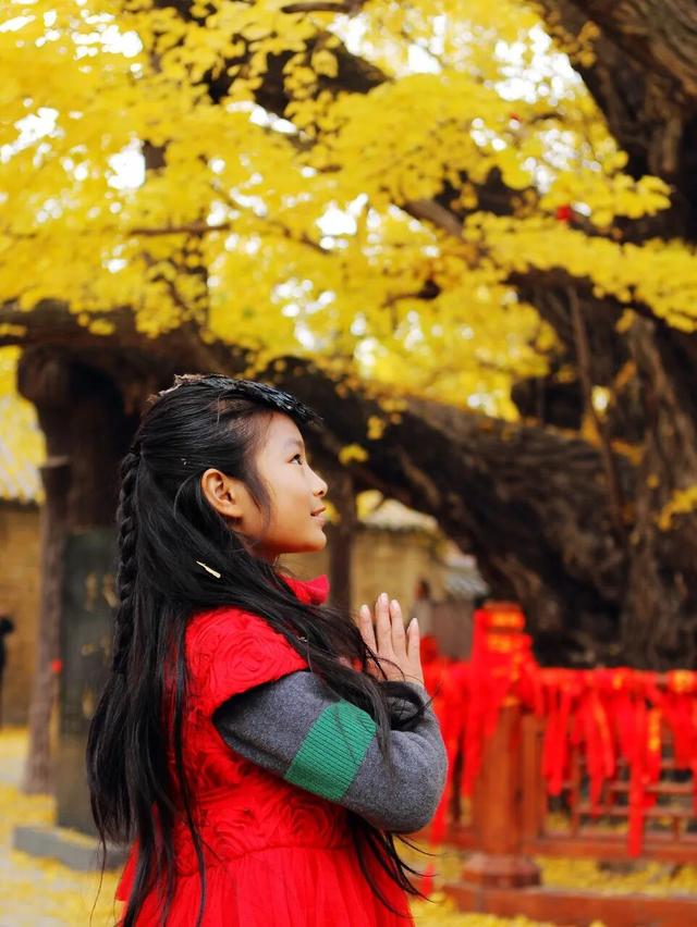 生为山东「银」，何其有「杏」！