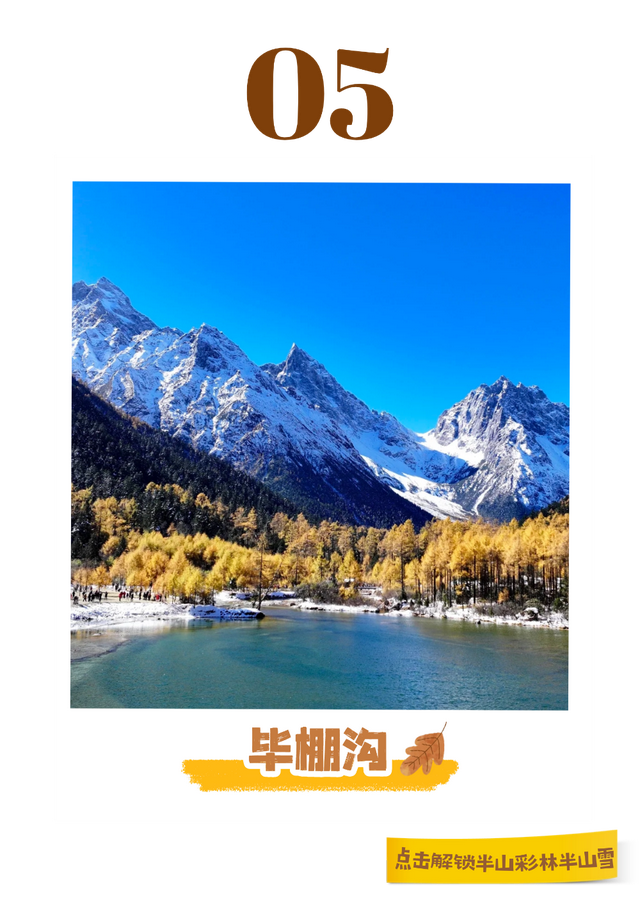 半山彩林半山雪！现在的阿坝美的我眼前一亮又一亮！