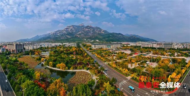 泰城深秋遍染金裳 斑斓画卷映眼帘