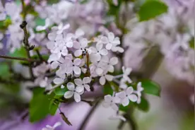 今天，呼市这里绝对美到你的心pa上🧡图片