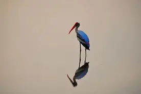 尼采哲学语录50句，每一句都令人怦然心动！图片