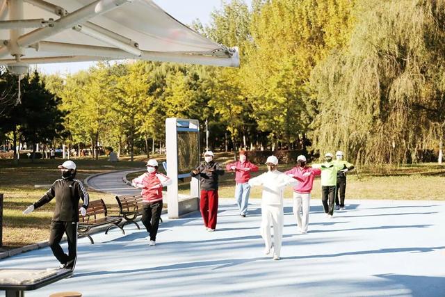 瞰盘锦｜盘锦之秋系列报道——大洼：景伴暖阳，秋色入画