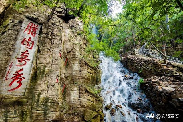 @Everyone 错峰游玩正当时！东平湖景区的快乐，我不允许你错过！