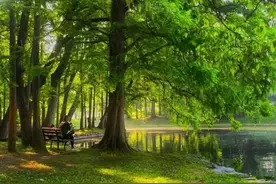 日本电影《垫底辣妹》观后感700字（精选19篇）图片