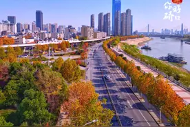 招聘辅警，五险一金！报名通道已开启图片