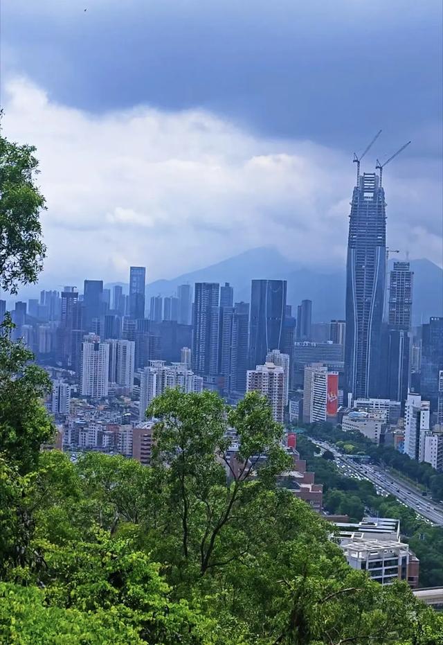 深圳笔架山山顶观光台，全景俯瞰深圳罗湖区摩天高楼群