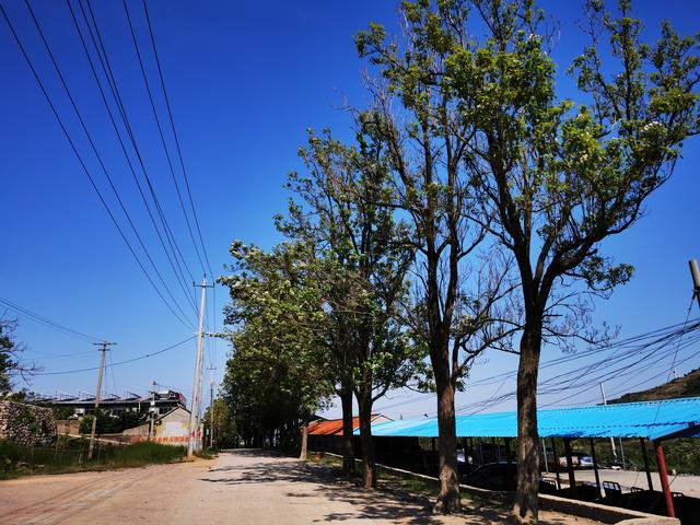 人在旅途（1）：我的家乡，山东安丘一个小山村。