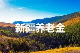 新疆养老金的计算方法图片