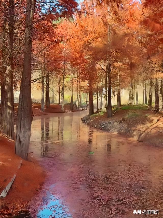 这个冬天，我撞见了一整片燃烧的森林