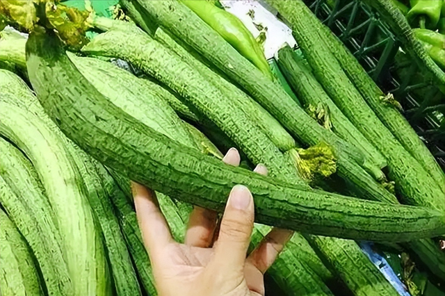 丝瓜再次被关注！研究发现：常吃丝瓜的糖尿病人，能收获5大好处