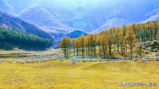 不去内蒙古大草原,你永远不知道它有多绝!