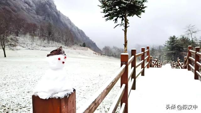 2025年草川子第一场初雪来啦！