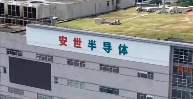 欠中企10亿！荷兰对华工厂断供，报应来了，荷兰首相要被赶下台了