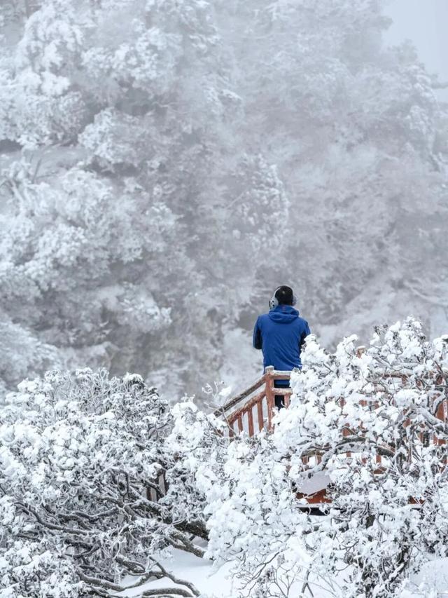光雾山什么时候下雪⁉️「官方预测攻略」来咯~