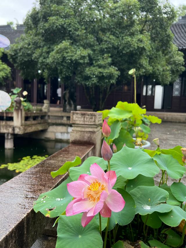 上海松江醉白池