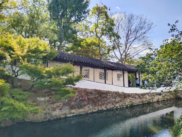 踏入苏州拙政园才懂得什么叫“一园藏尽江南梦”