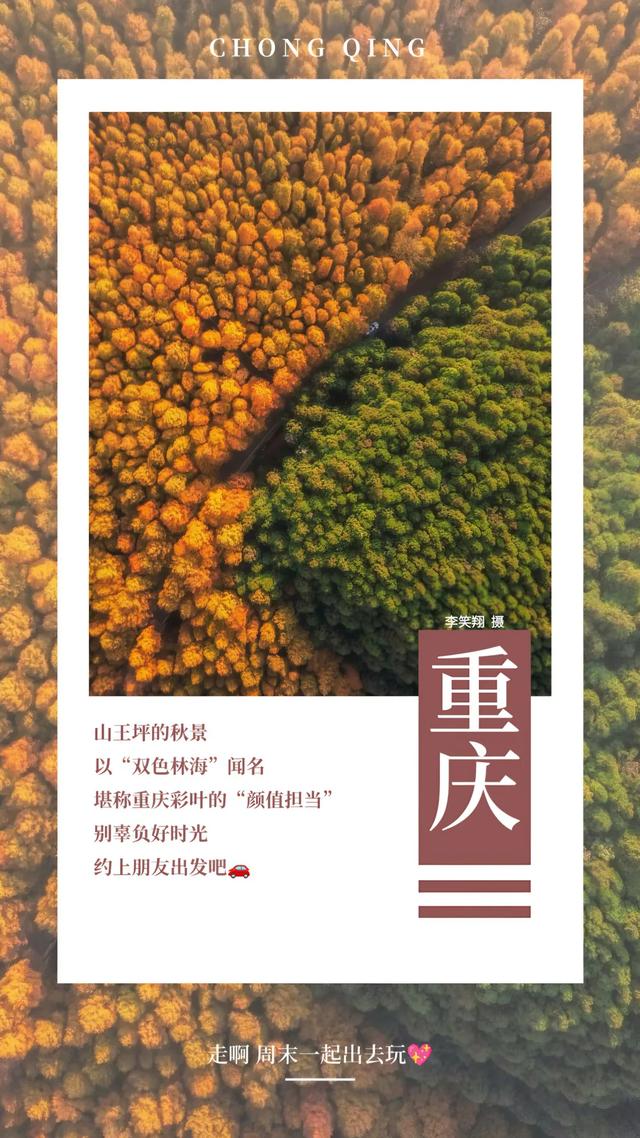 此时不看,再等一年!红了,冲冲冲!