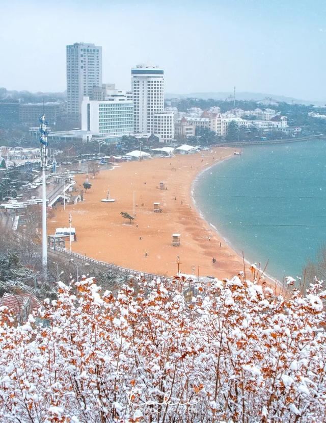 市南的2026，应该这样过...