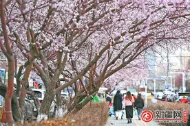 打卡乌鲁木齐春日奇幻地图 这些秘境藏着市民的浪漫日常图片