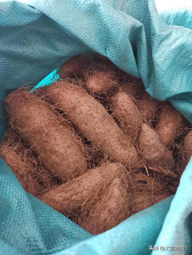 认识大美广东的每个县——第24波：徐闻