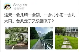 突然打雷+大雨！台风走了又杀回来了？图片