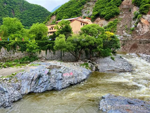 立秋已至，暑热未消，黑河山水与你相约“剩”夏的时光