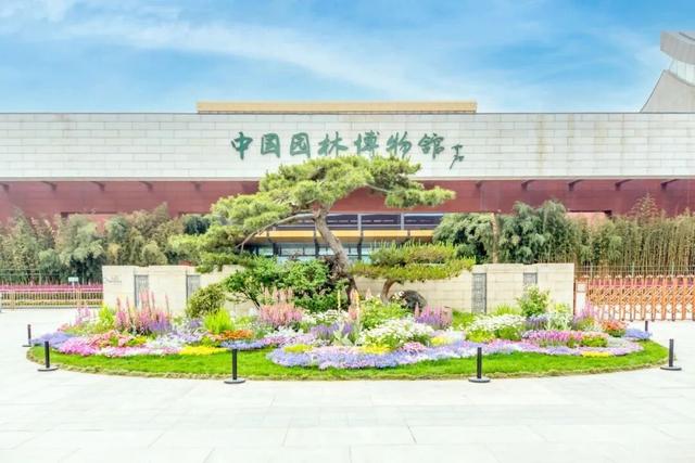 丰台秋日超全玩法指南！寻秋赏叶、文艺遛娃、夜游市集、采摘打卡统统有