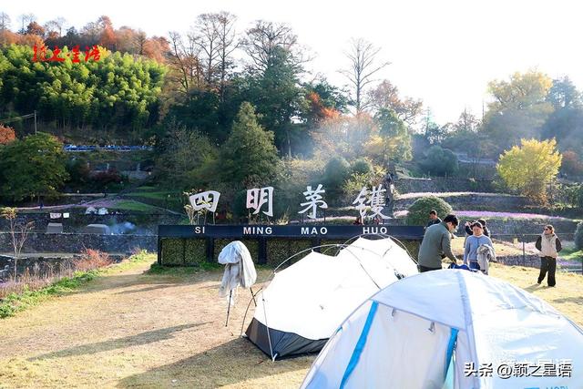 走过这条公路吗？宁波最美秋色路，又到绚烂时