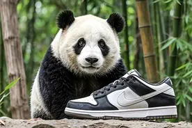 县城富人们也开始嫌弃耐克了图片