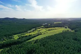 荒原逆袭！塞罕坝种出4.8亿棵树，千亿级绿化奇迹是怎么做到的？图片