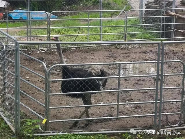 西安地铁10号线直达,承载708090后人记忆的未央湖公园变样了!