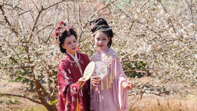 永泰：李梅之乡 冬来飞“雪”