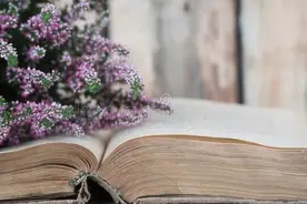 独自照顾父母12年，发现养老真相：付出越多越落下埋怨还说你不孝图片