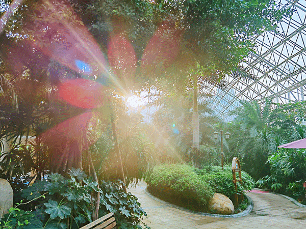 临沂人游临沂｜去河东热热闹闹赶大集，临沂人家门口的快乐清单