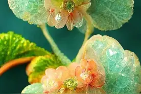 夫妻一旦“没爱”，就会有这6种表现，中三条就别将就了！图片