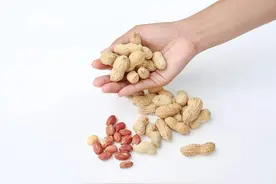 生花生与熟花生有何区别，常吃花生的了解下，对你有帮助图片