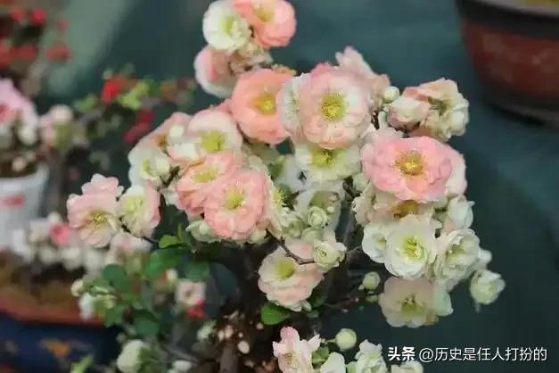 全方位介绍临沂河东区仅剩的六个镇街（6）:美到窒息的汤河镇