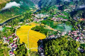 细说新时代我国农业科技创新的成就图片