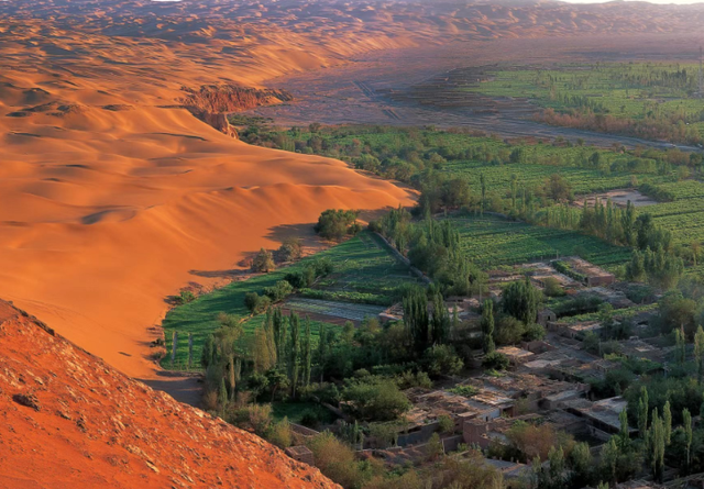 美媒：中国不可怕，可怕的是中国只用10万头猪	，就解决了治沙难题