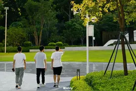 深圳“假装上班公司”：30元一天付费“上班”，失业人的乌托邦图片