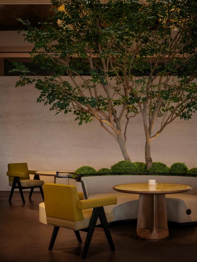 CCD | 雲間憩所，心靈驛站​