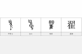 每日一字——翟图片