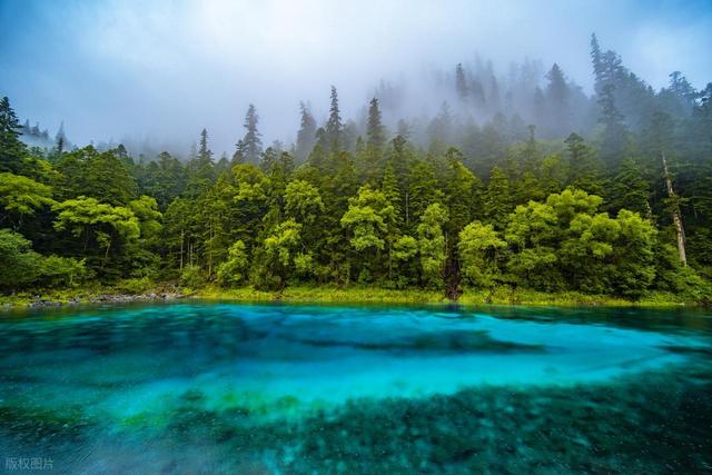 2025 成都旅行社避坑指南：文旅认证 游遍天下领跑 5 大客群精准匹配