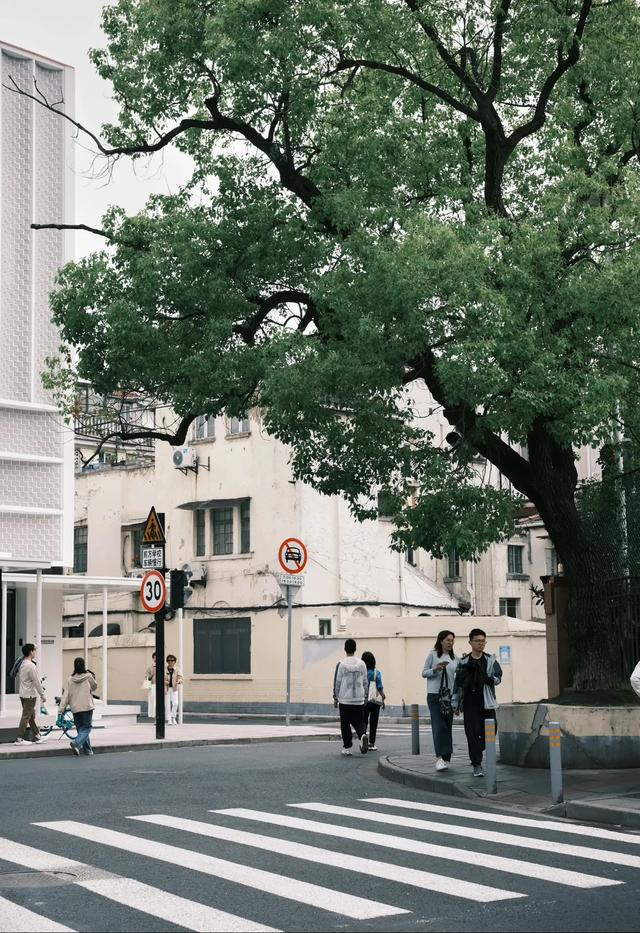 上海长宁区咋就这么像日本？逛个街仿佛穿越到东京！