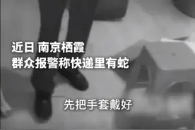 南京一男子网购榴莲快递拆出大蛇，民警出警被硬送榴莲图片